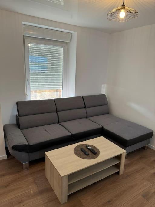 Appartement La Citadelle Belfort Buitenkant foto